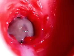 Pussy Fucking